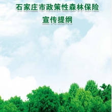 政策性森林保險宣傳提綱